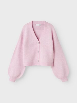 NAME-IT_FallWinter2025_4835575_13247049_3