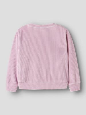 NAME-IT_FallWinter2025_4928571_13235117_2