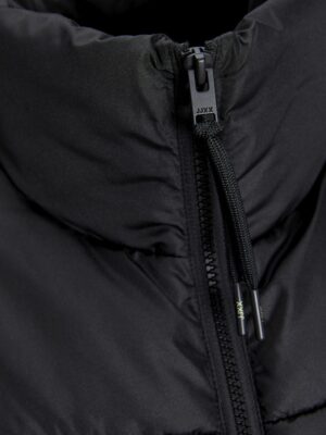 JJXX_FallWinter2024_4511240_12258074_2